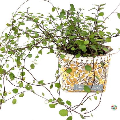 Cache-Pot Liberty &quot;Wiltshire Tournesol&quot;